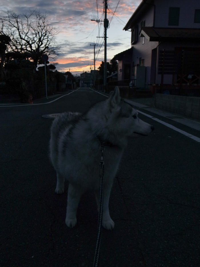 c0049299_21465148.jpg