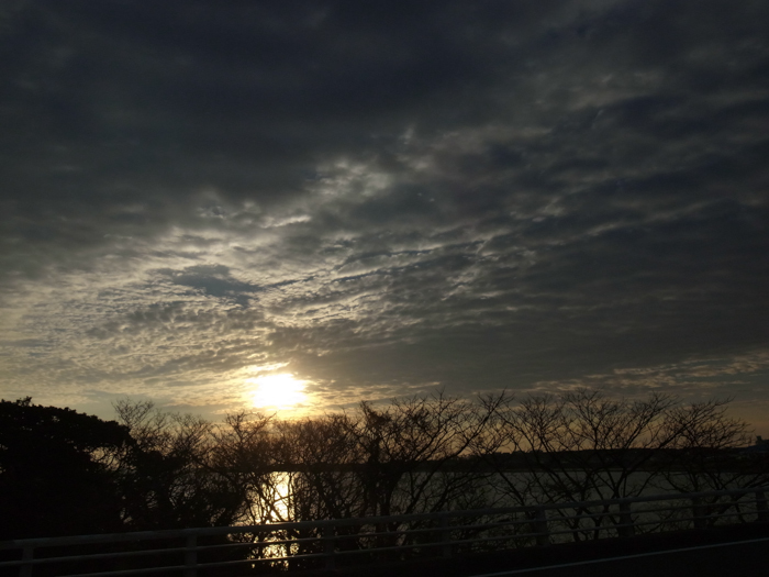c0049299_22223013.jpg
