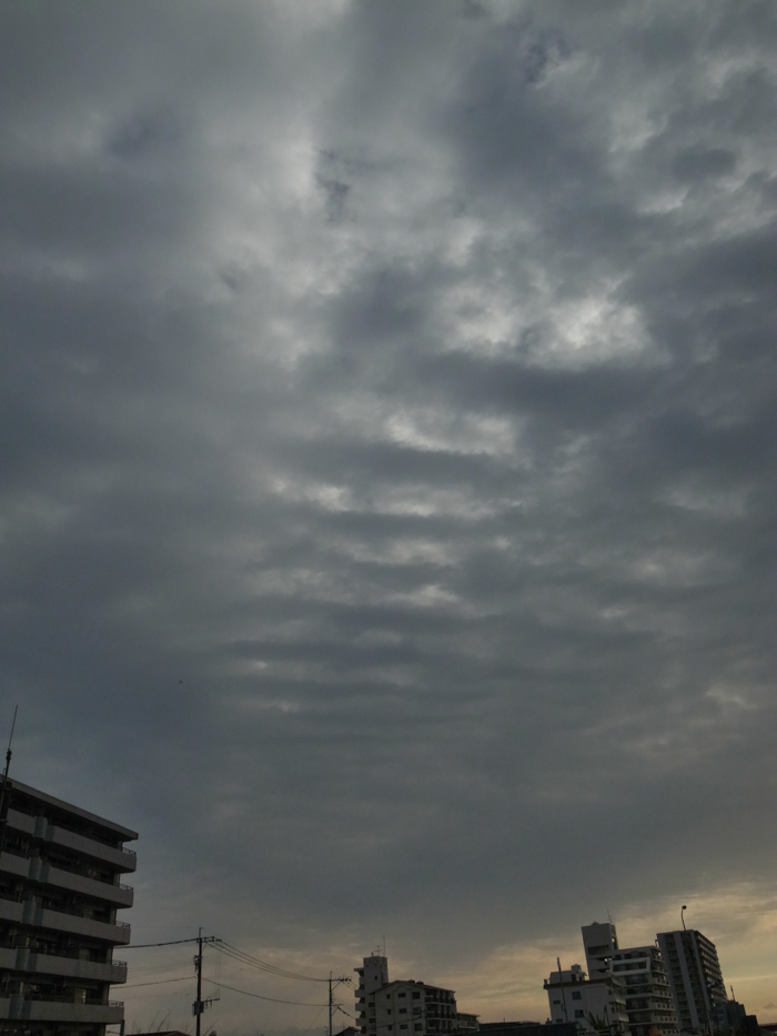 c0049299_22321054.jpg