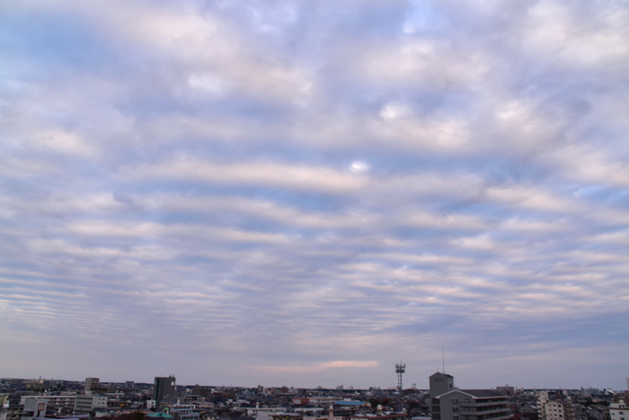 c0049299_22364783.jpg