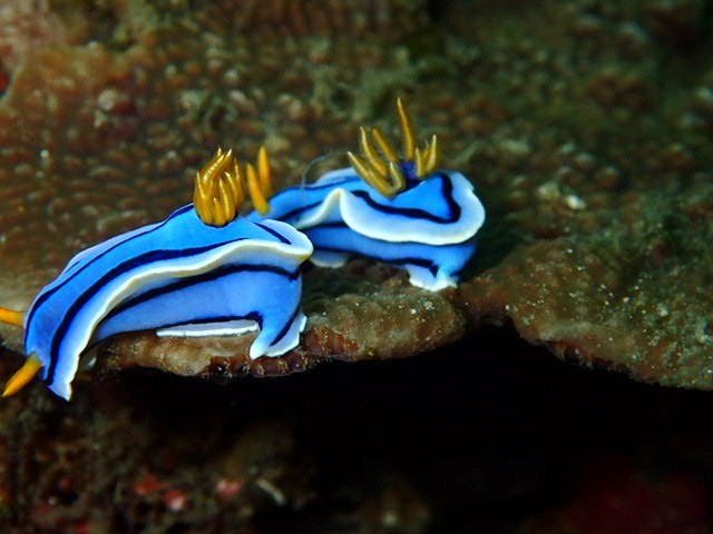 e0115199_12562629.jpg