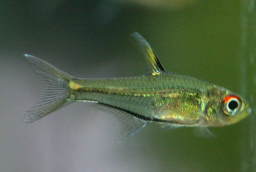 c0165800_20323516.jpg
