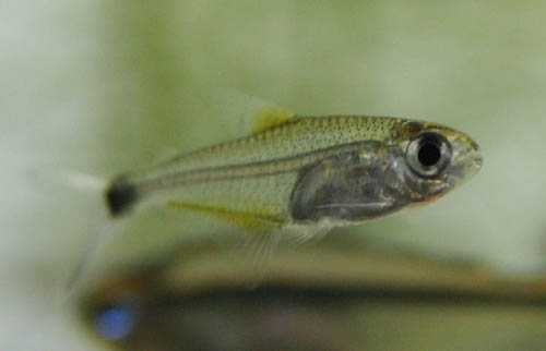c0165800_2032534.jpg