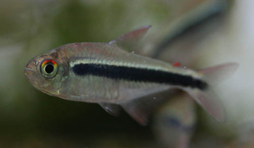c0165800_20443029.jpg