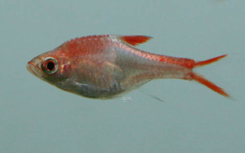 c0165800_20452566.jpg