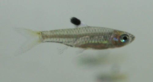 c0165800_2045534.jpg