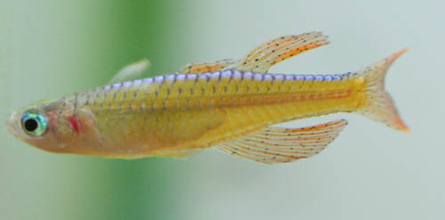 c0165800_20463596.jpg