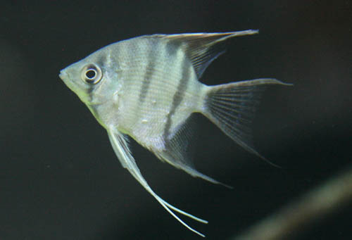 c0165800_204959.jpg