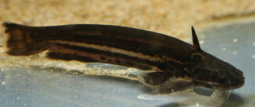 c0165800_2052229.jpg