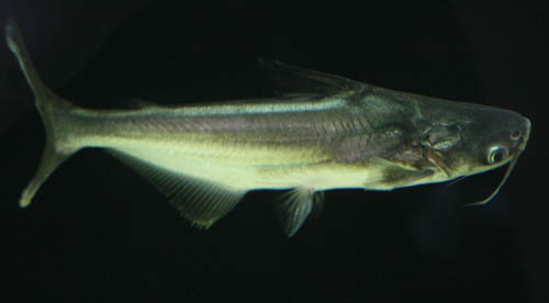c0165800_2052865.jpg