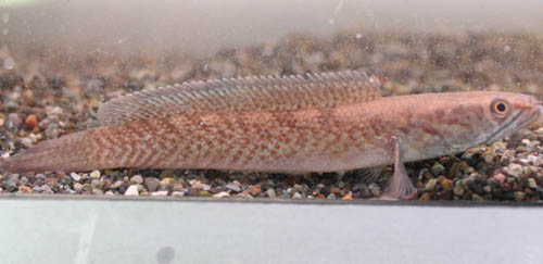c0165800_20535099.jpg