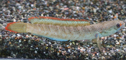 c0165800_20541184.jpg