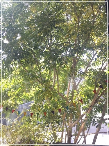 b0289710_16410937.jpg