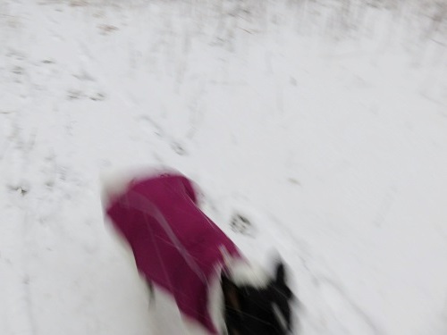 c0084117_20473138.jpg