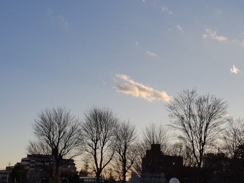 e0016828_15034255.jpg