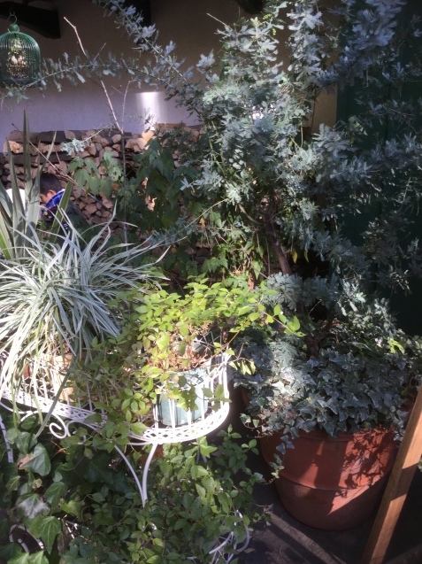 c0103830_15353702.jpg