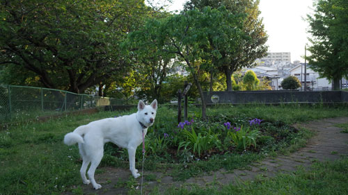 a0117039_1417890.jpg