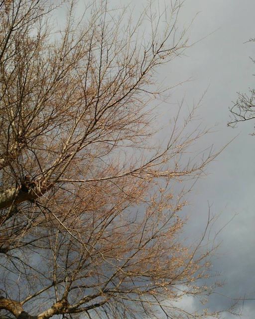 c0342646_16405882.jpg
