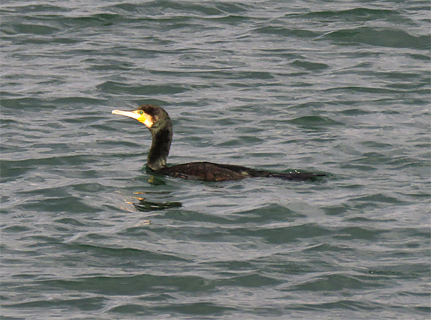 f0214649_6255313.jpg