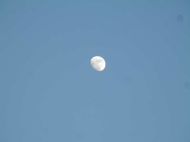 e0288951_19574599.jpg