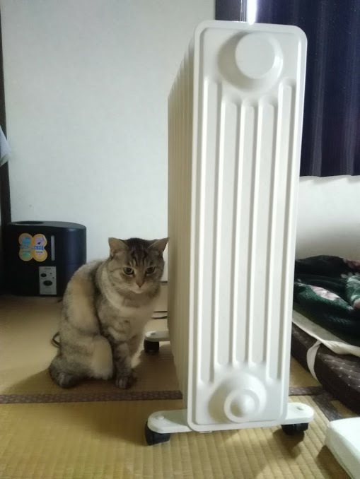 f0201157_09073664.jpg
