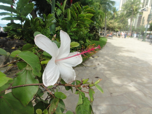 d0029363_23193440.jpg