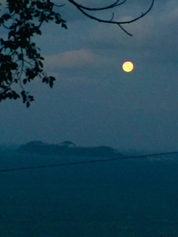 b0148465_07205409.jpg