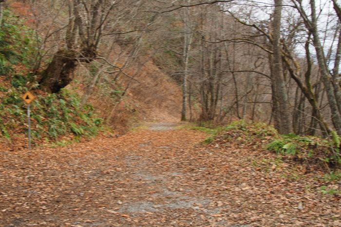 e0307372_17450148.jpg