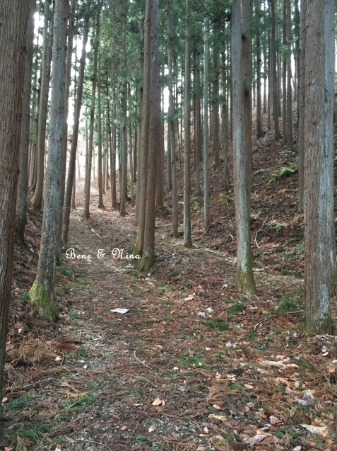 c0283778_13280863.jpg