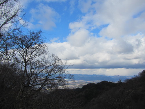 a0251786_2031222.jpg