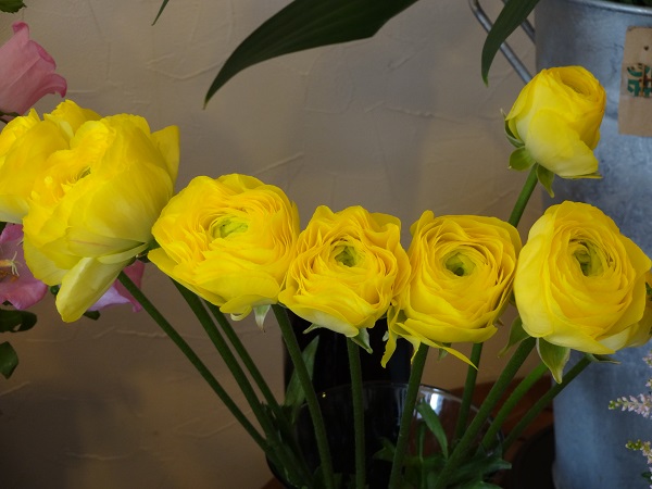 e0140986_1533153.jpg