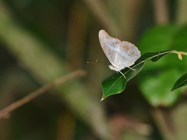 f0310988_06303480.jpg