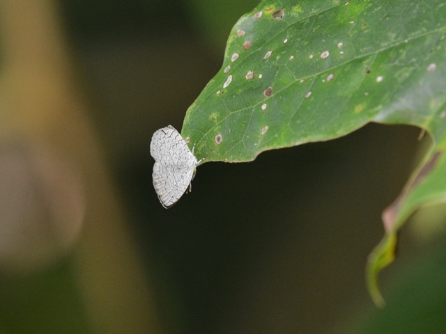 f0310988_07183178.jpg