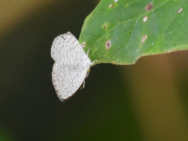 f0310988_07183942.jpg