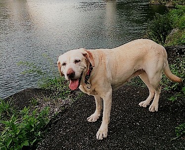 c0337990_12350988.jpg