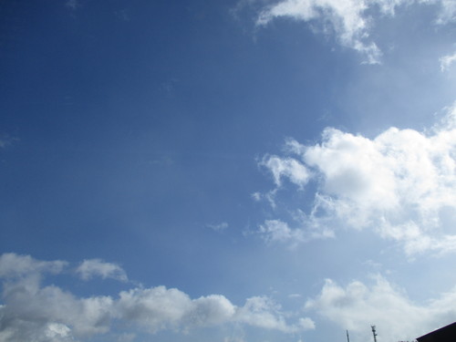 d0333091_16255780.jpg
