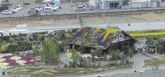 d0099695_1661824.jpg