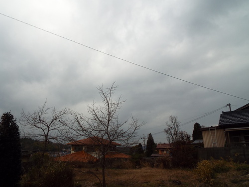 c0108198_155803.jpg