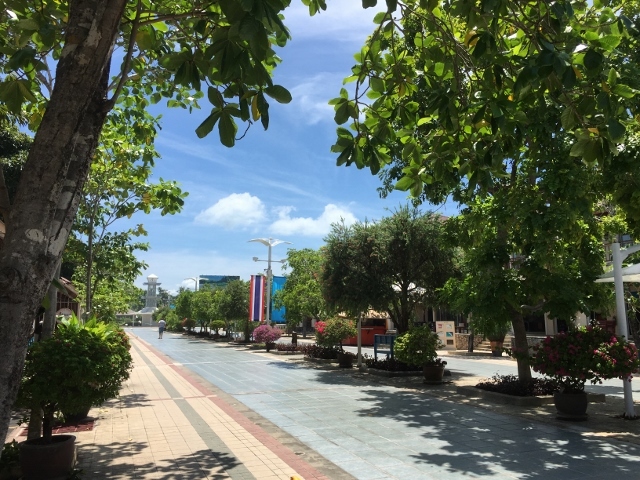 d0337598_08522527.jpg