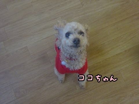 a0338800_16011651.jpg