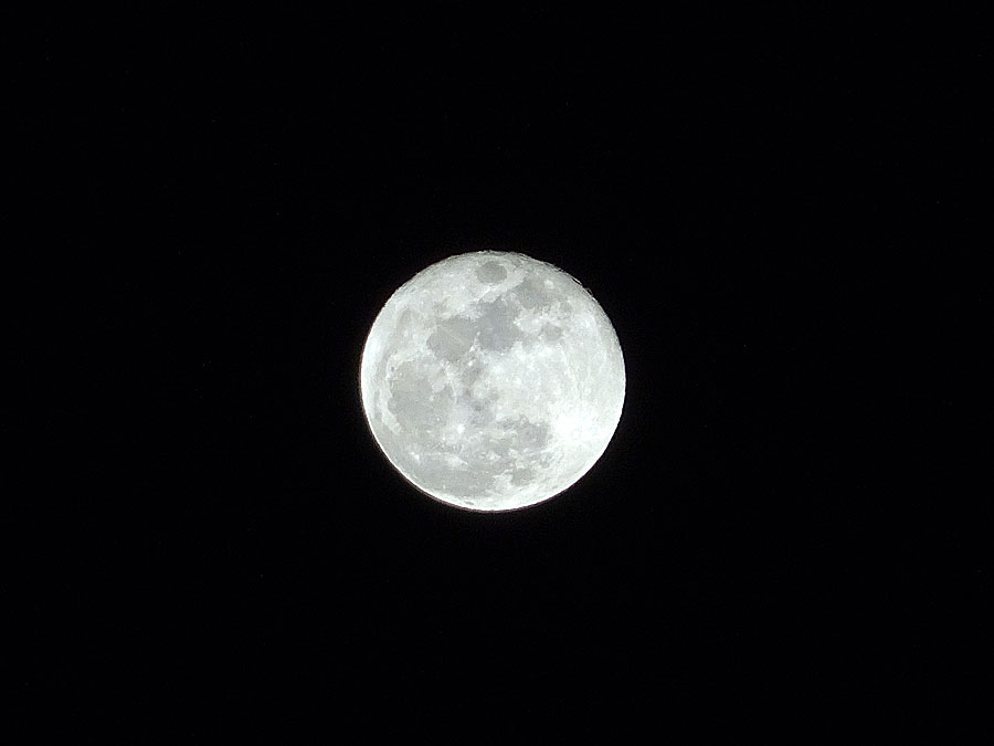 b0172203_18102482.jpg