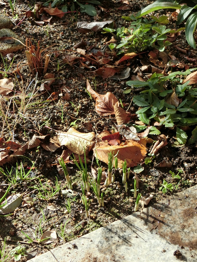 e0234004_20112688.jpg