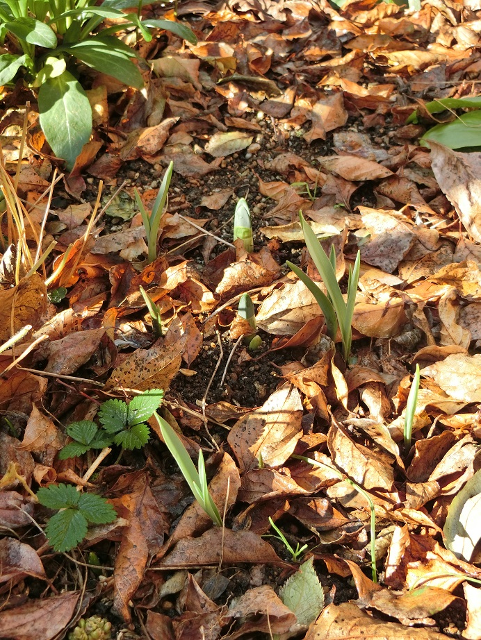 e0234004_20115311.jpg