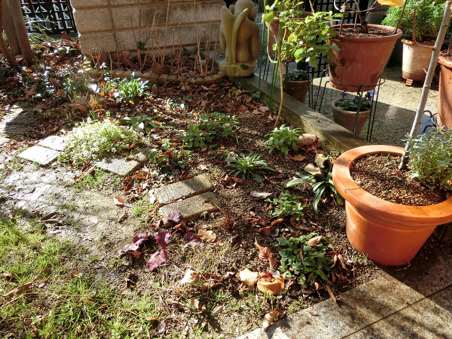 e0234004_2011935.jpg