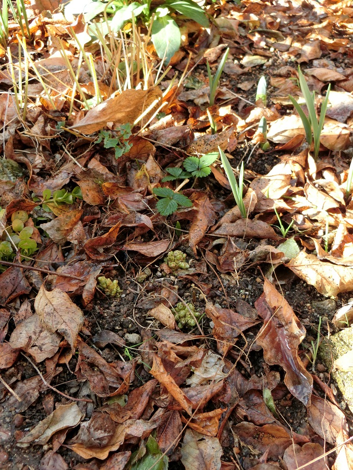 e0234004_20123353.jpg