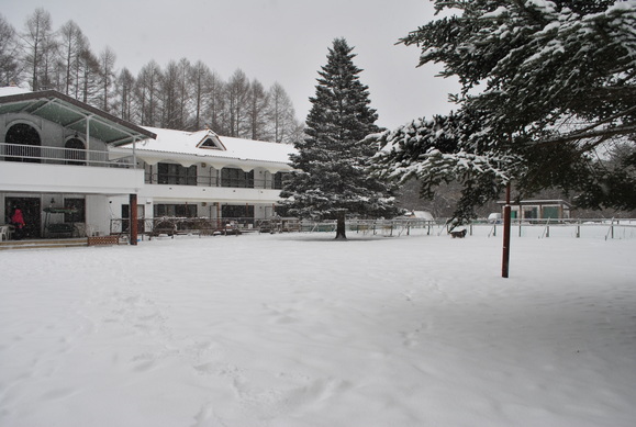 a0226620_2331150.jpg