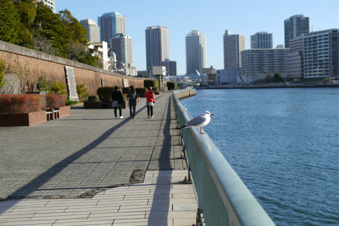 a0335421_09044695.jpg