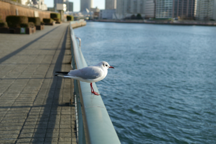 a0335421_09050480.jpg