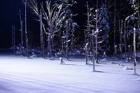 f0037227_20151644.jpg