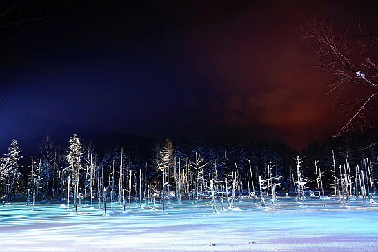 f0037227_2015231.jpg